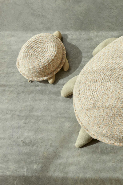 Basket Baby Turtle