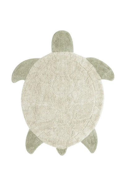 Sea Turtle